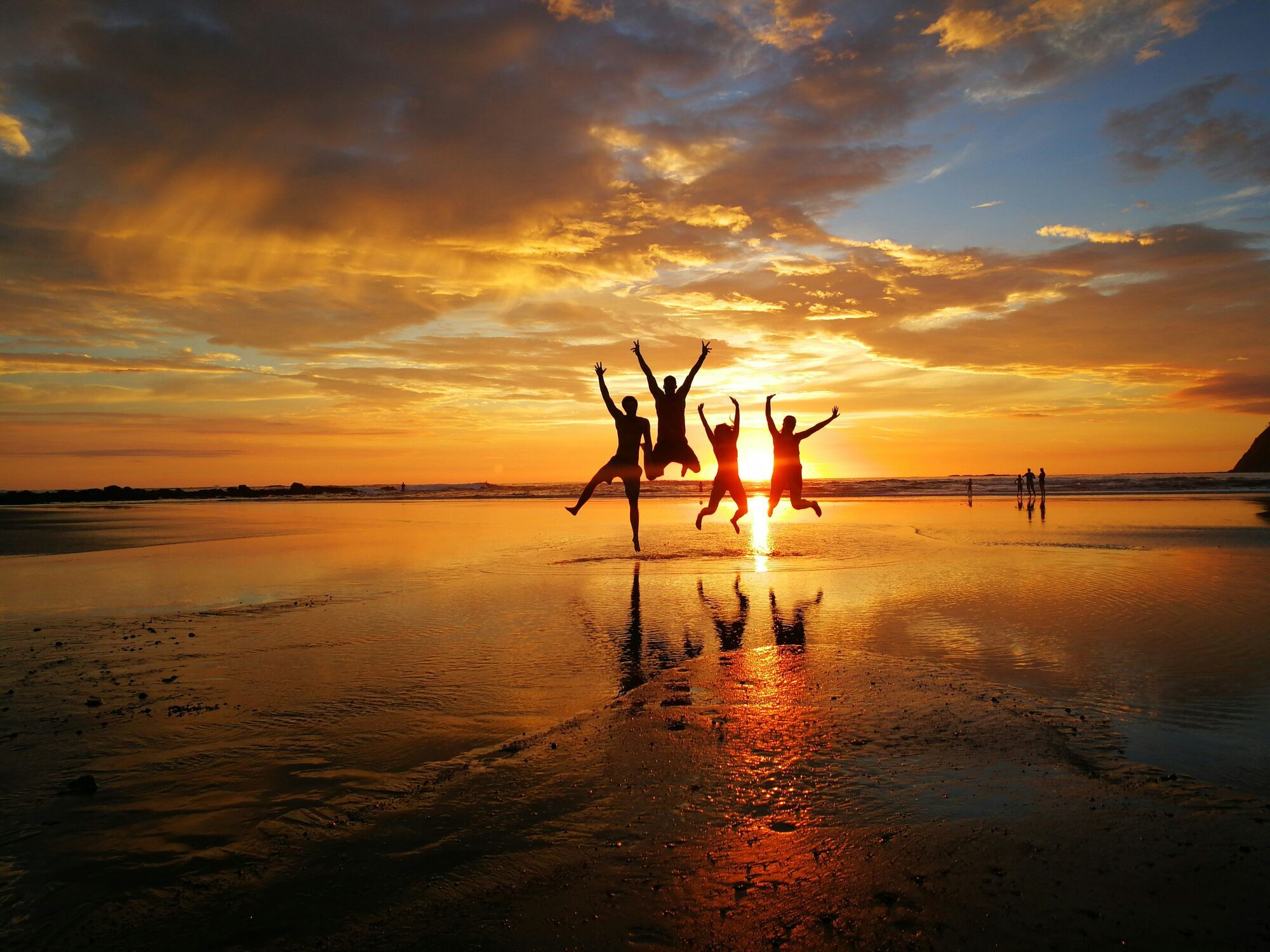 people on beach during sunset